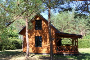 Między Sosnami in Pasym